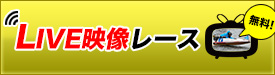ライブ映像レース