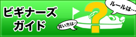 ビギナーズガイド